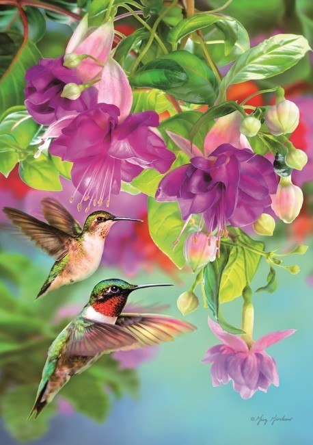 Hummingbirds - 1000pc Jigsaw Puzzle by Piatnik