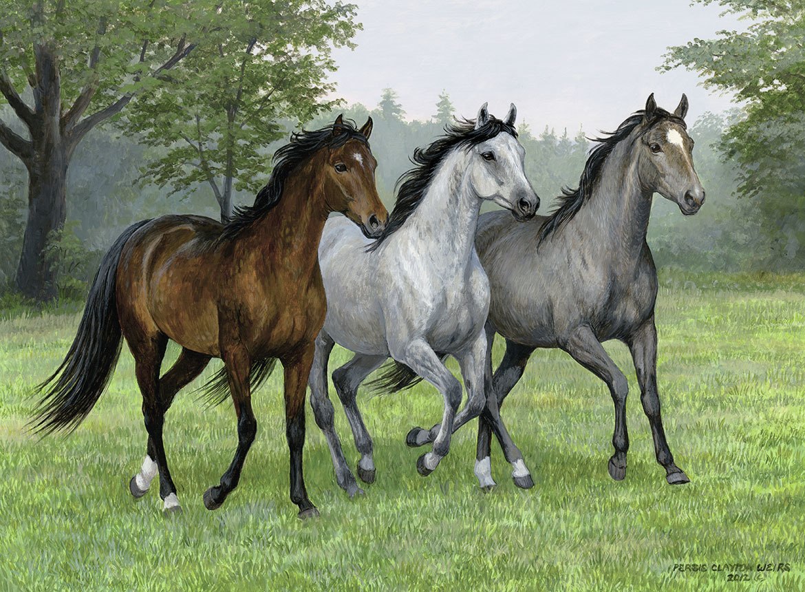 Wild Trifecta - 200pc Jigsaw Puzzle by Ravensburger