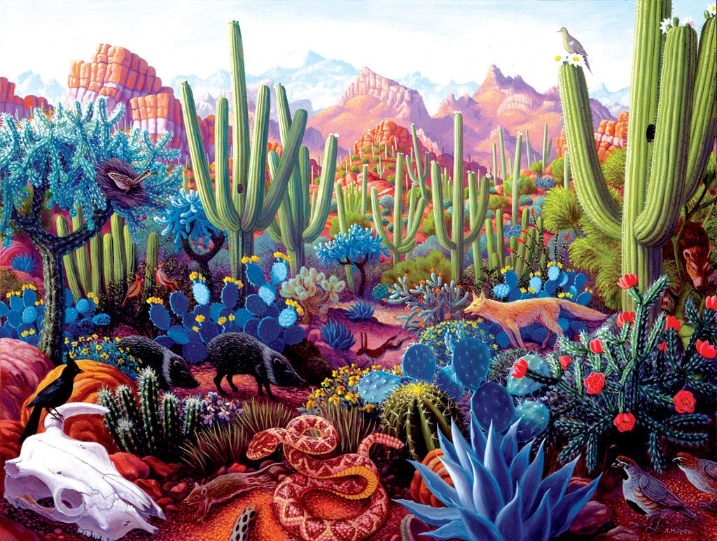 Cactusland - 1000pc Jigsaw Puzzle by Sunsout