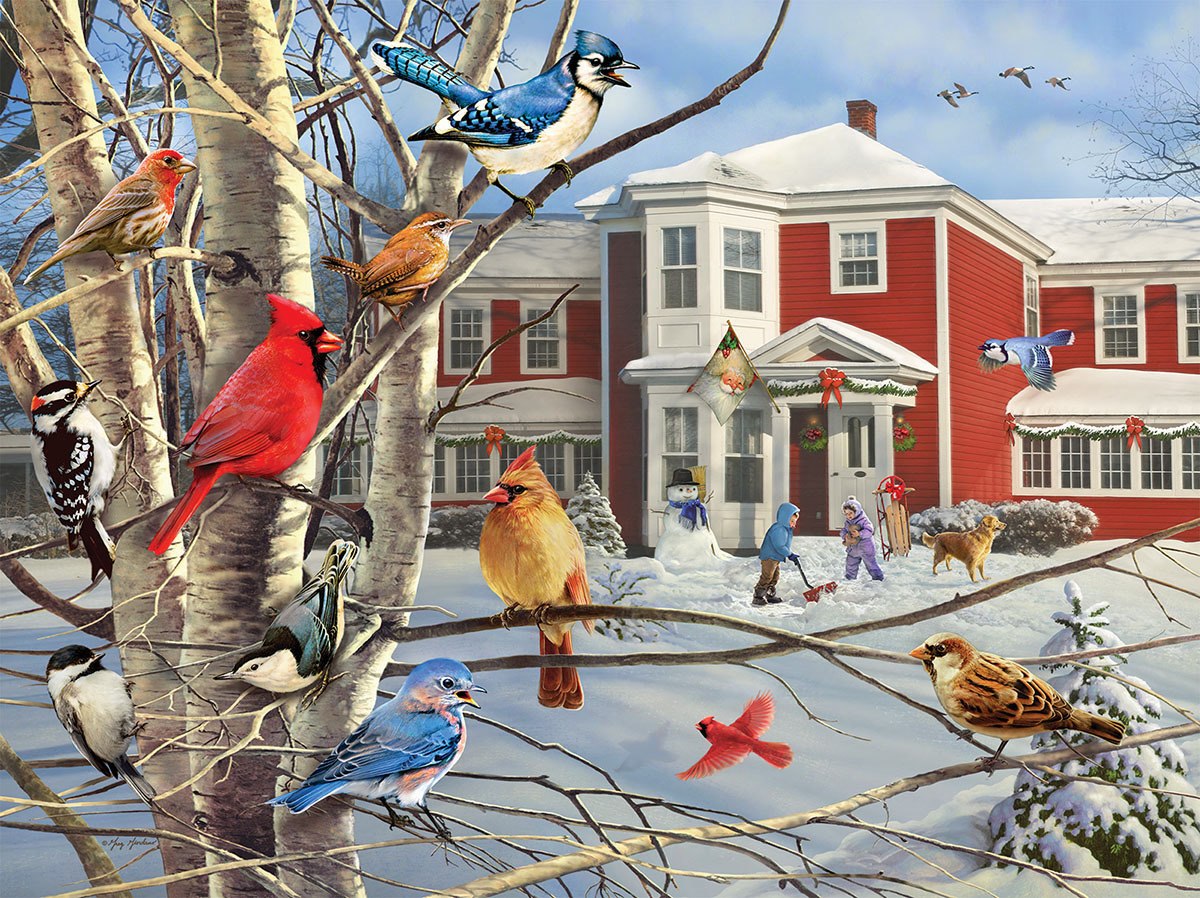 Winter Gathering - 1000pc Jigsaw Puzzle By White Mountain  			  					NEW