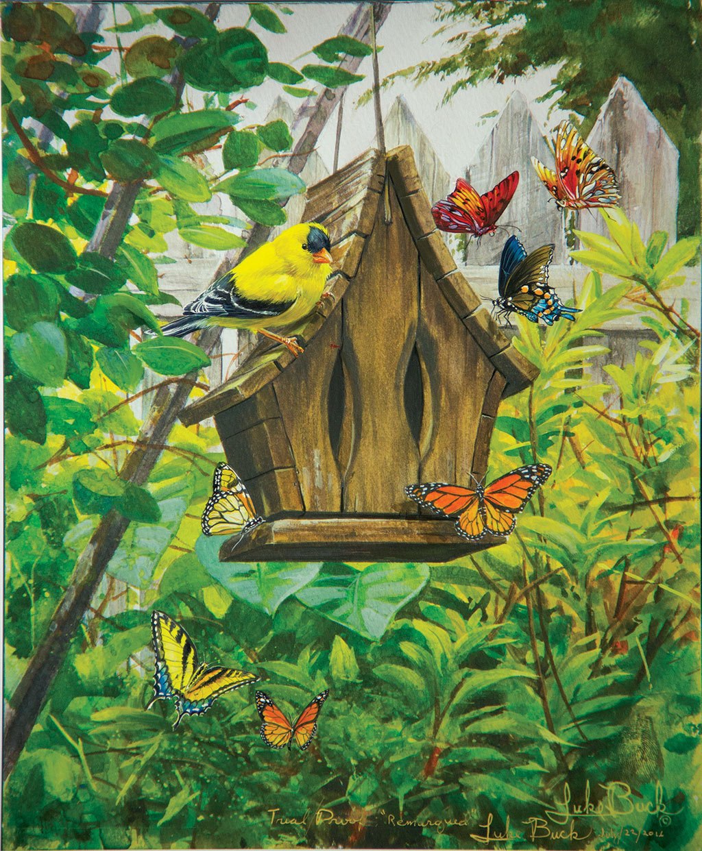 Butterfly B & B - 300pc Large Format Jigsaw Puzzle by Sunsout