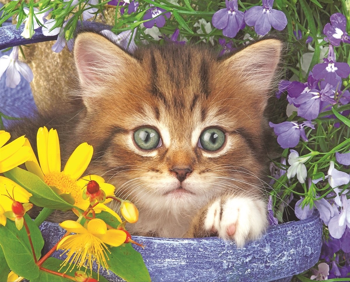 Garden Helper - 100pc Jigsaw Puzzle By Springbok