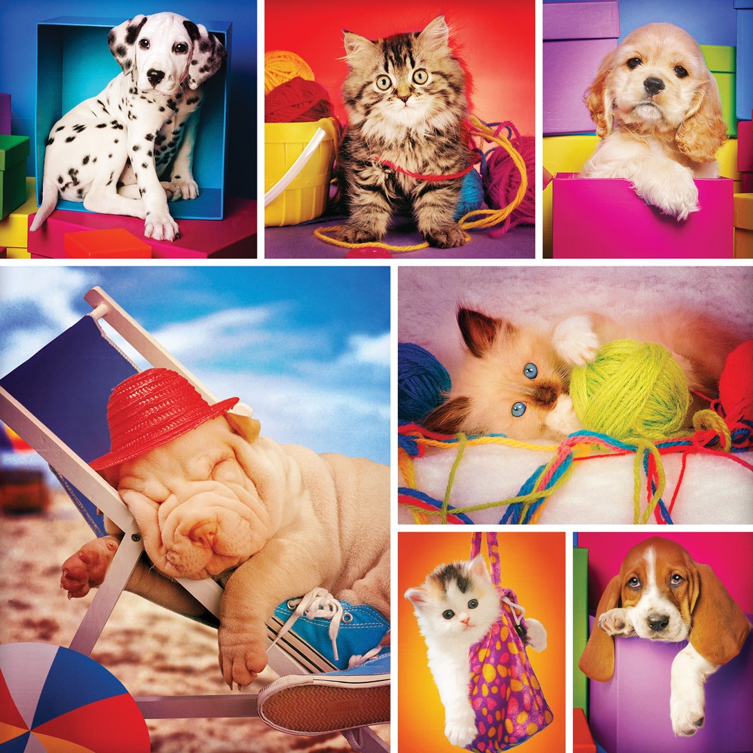 Instapaws: #SnuggleSelfies - 500pc Square Jigsaw Puzzle by Masterpieces