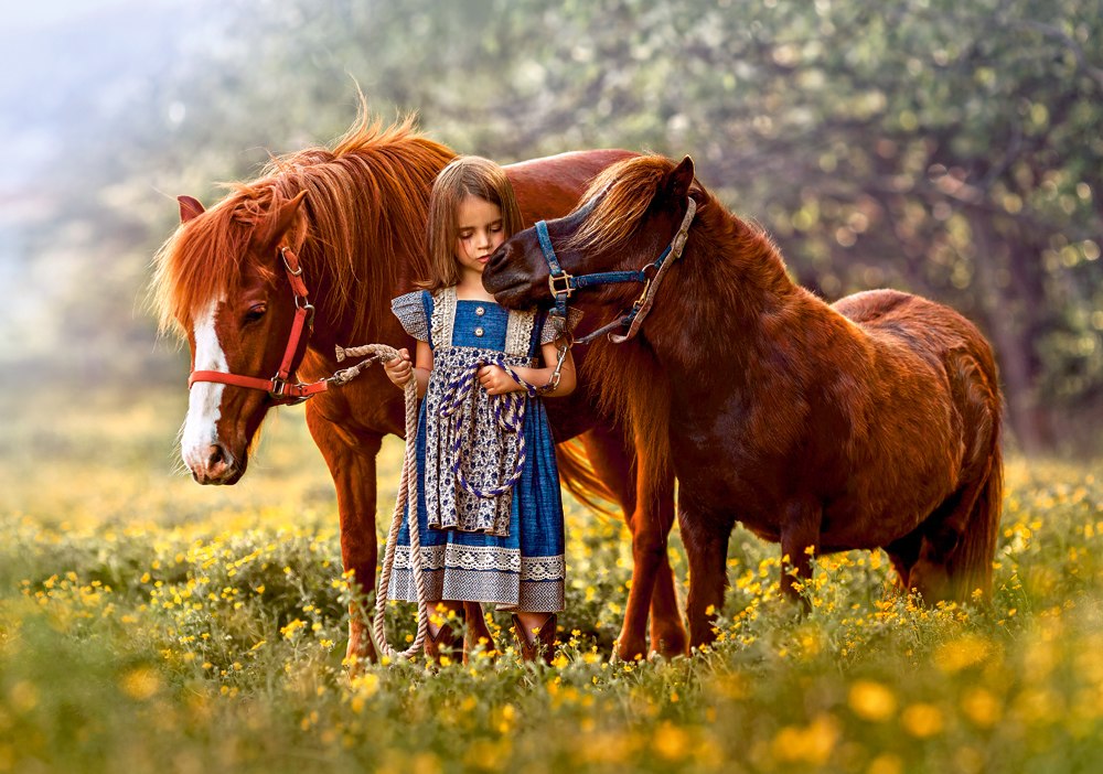 Beauty Within - 500pc Jigsaw Puzzle By Castorland