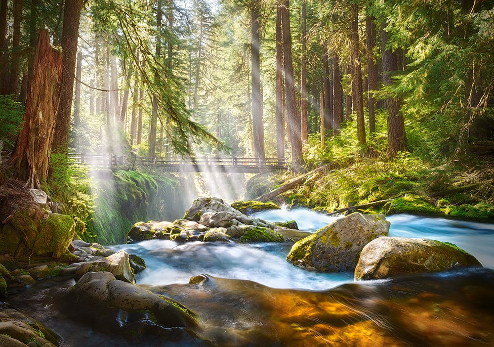 Forest Stream of Light - 500pc Jigsaw Puzzle by Castorland  			  					NEW