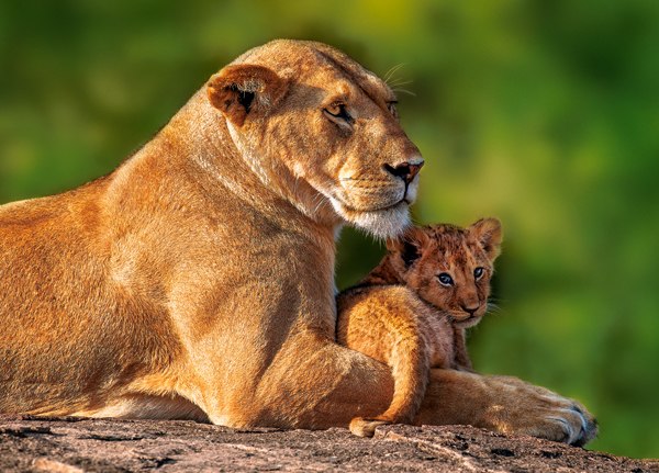 Mom and Me - 180pc Jigsaw Puzzle By Castorland