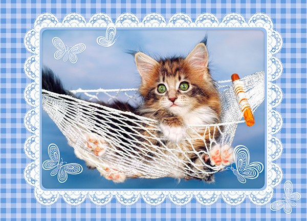 Lazy Kitten - 35pc Jigsaw Puzzle By Castorland