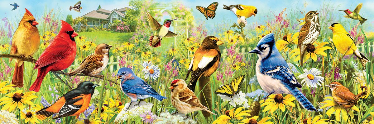 Giordano: Backyard Birds - 1000pc Panoramic Jigsaw Puzzle by Eurographics  			  					NEW