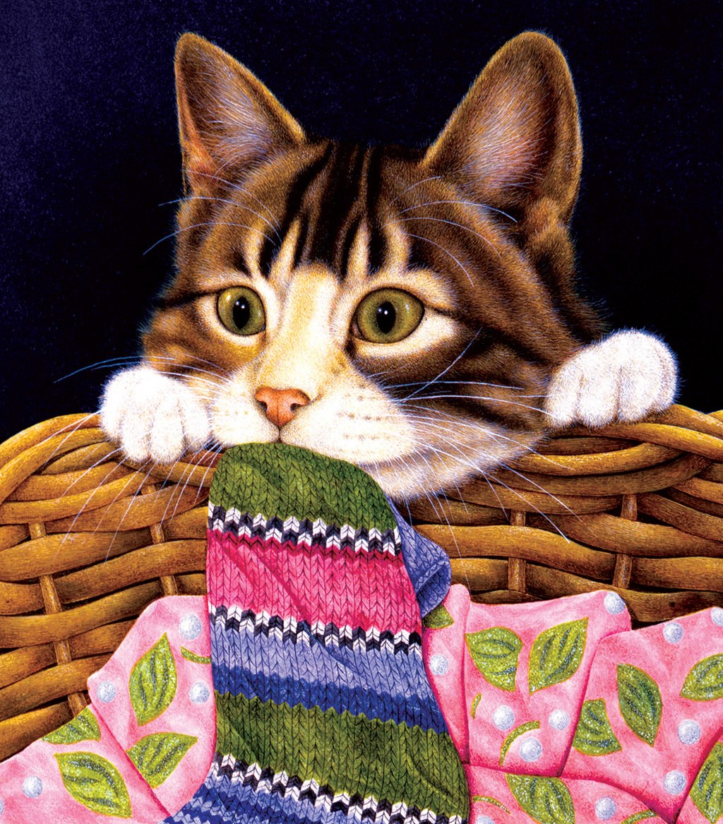 Sock Crazy - 300pc Large Format Jigsaw Puzzle by Sunsout