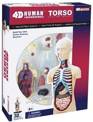 Human Torso - 32pc 4D Human Anatomy Puzzle