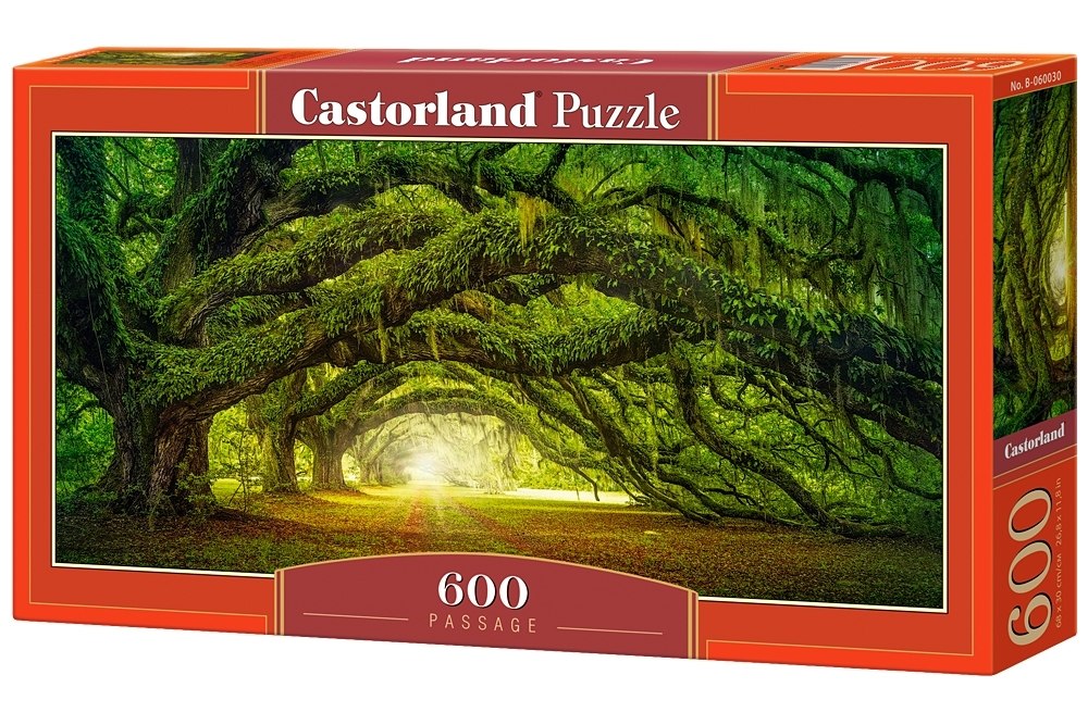Passage - 600pc Jigsaw Puzzle By Castorland  			  					NEW - image 1