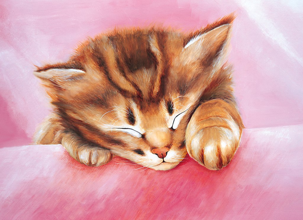 Dream Of Kitty - 500pc Jigsaw Puzzle by Tomax