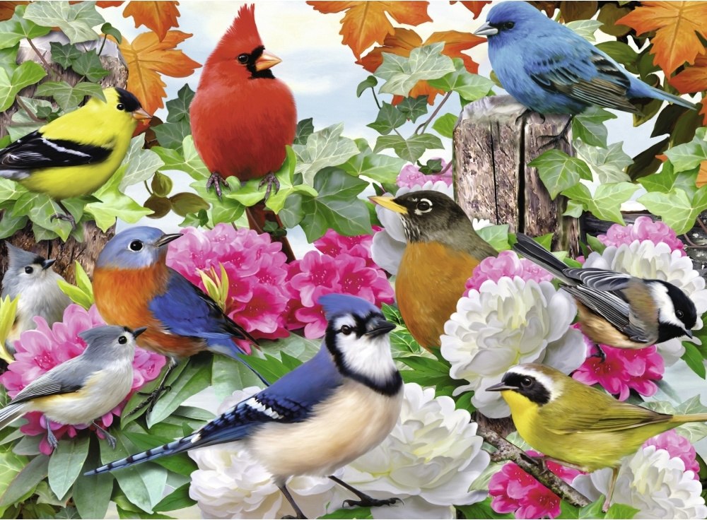 Garden Birds - 500pc Jigsaw Puzzle By Ravensburger