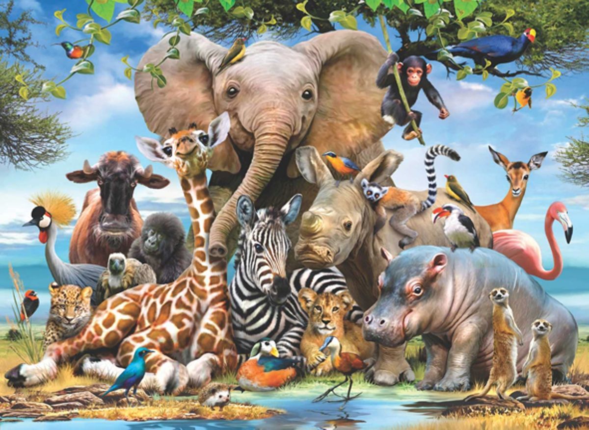 Africa Smile - 1000pc Jigsaw Puzzle by Anatolian  			  					NEW