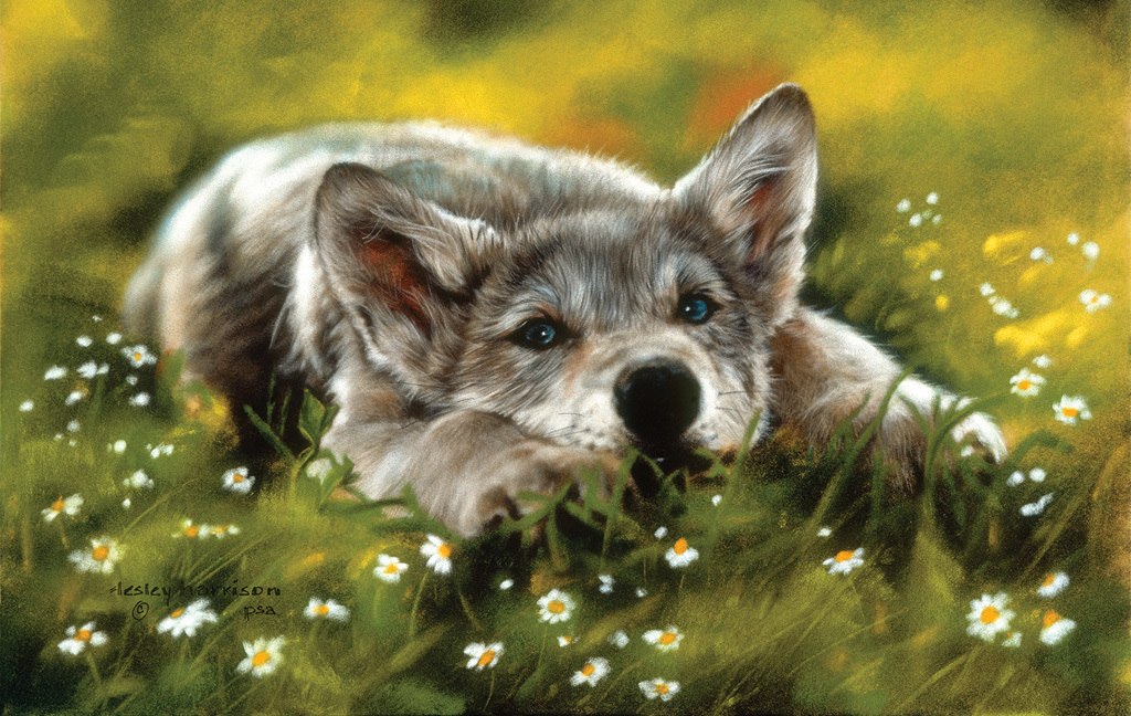 No Worries - 550pc Jigsaw Puzzle by Sunsout