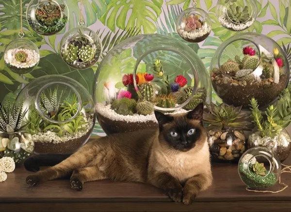 Terrarium Cat - 1000pc Jigsaw Puzzle by Cobble Hill