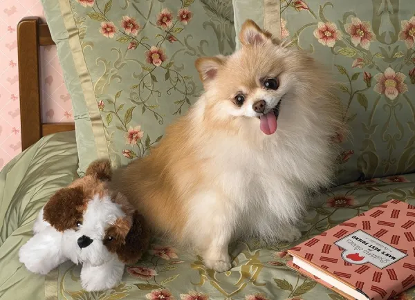 Bedtime - 500pc Jigsaw Puzzle By Cobble Hill