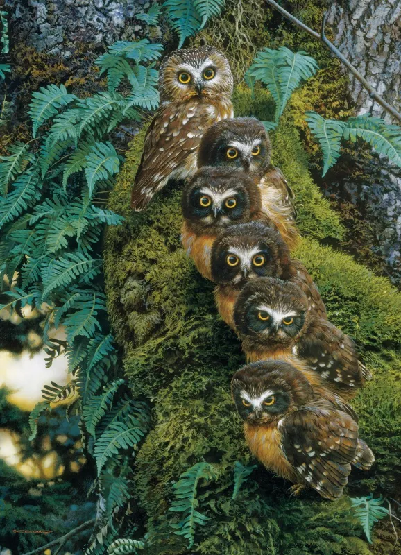 Family Tree - 1000pc Jigsaw Puzzle by Cobble Hill