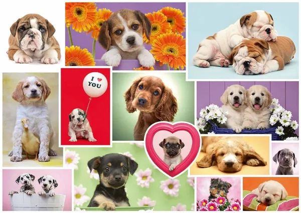 Four Legged Friend - 1000pc Jigsaw Puzzle by Schmidt