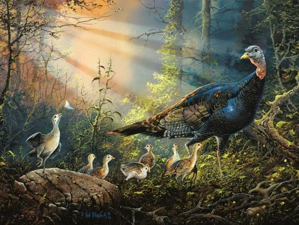 Turkey in the Sun Rays - 300pc Jigsaw Puzzle By Sunsout