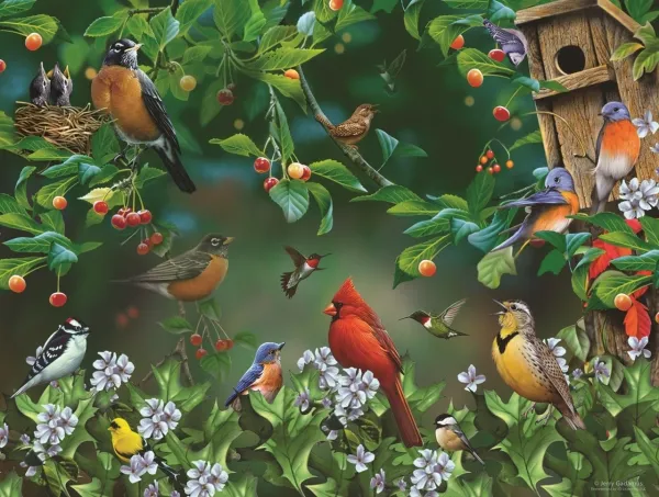 Bird Festival - 300pc Jigsaw Puzzle By Sunsout
