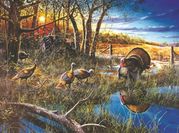 The Challenge - 1000pc Jigsaw Puzzle By Sunsout