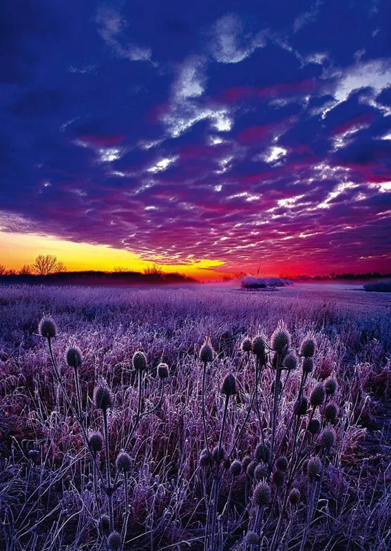 Sunrise - 1000pc Jigsaw Puzzle by Schmidt