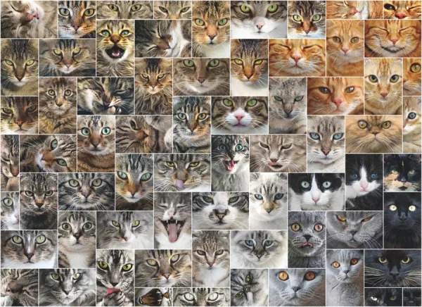 Cat Faces - 1000pc Jigsaw Puzzle By D-Toys