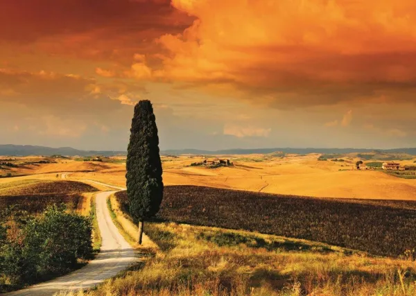 Tuscan Sunset - 1000pc Jigsaw Puzzle By Jumbo