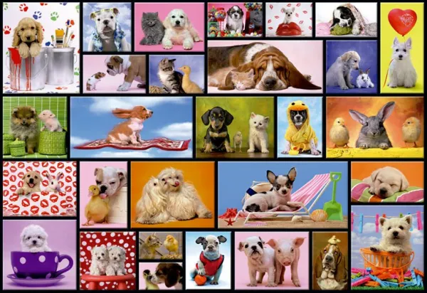 Shared Moments - 1000pc Jigsaw Puzzle By Educa