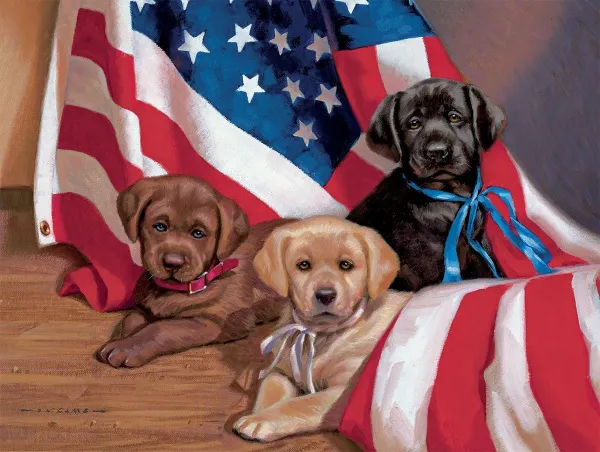 American Puppy - 500pc Jigsaw Puzzle by Lang