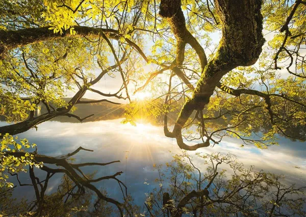 Embrace of Gold - 1000pc Jigsaw Puzzle by Schmidt