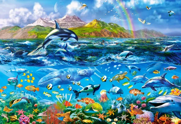 Ocean Panorama - 1000pc Jigsaw Puzzle By Castorland