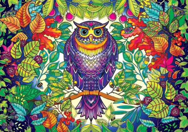 SECRET GARDEN: Johanna Basford FOREST OWL - 500pc Coloring Book Jigsaw Puzzle by Buffalo Games