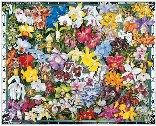 Orchids - 1000pc Jigsaw Puzzle By White Mountain