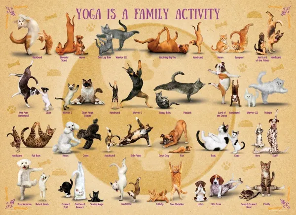 Yoga is a Family Activity - 500pc Jigsaw Puzzle by Eurographics