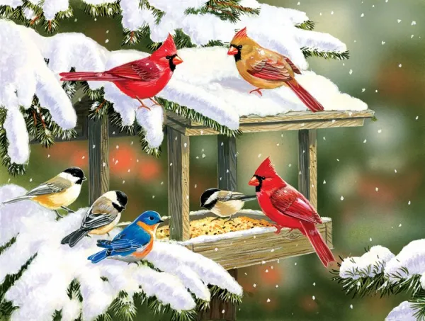 Winter Snacks - 500pc Jigsaw Puzzle By Sunsout