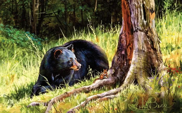 Forest Buddies - 300pc Jigsaw Puzzle By Sunsout