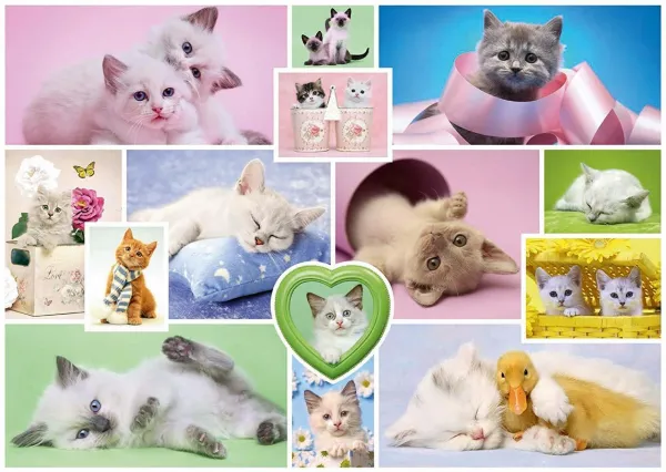 Cuddly Cats - 1000pc Jigsaw Puzzle by Schmidt