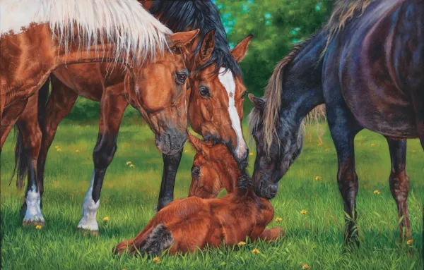 A Welcome New Arrival - 1000pc Jigsaw Puzzle By Sunsout