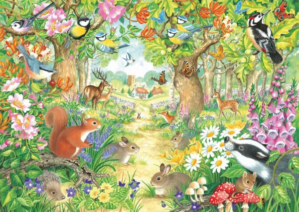 A Woodland Trail - 1000pc Jigsaw Puzzle By Falcon