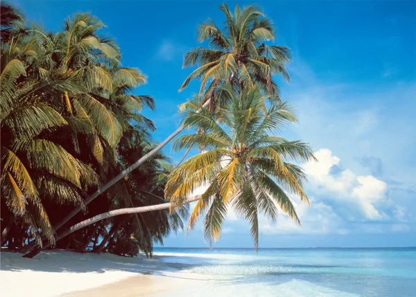 Maldive Island - 2000pc Jigsaw Puzzle by Tomax
