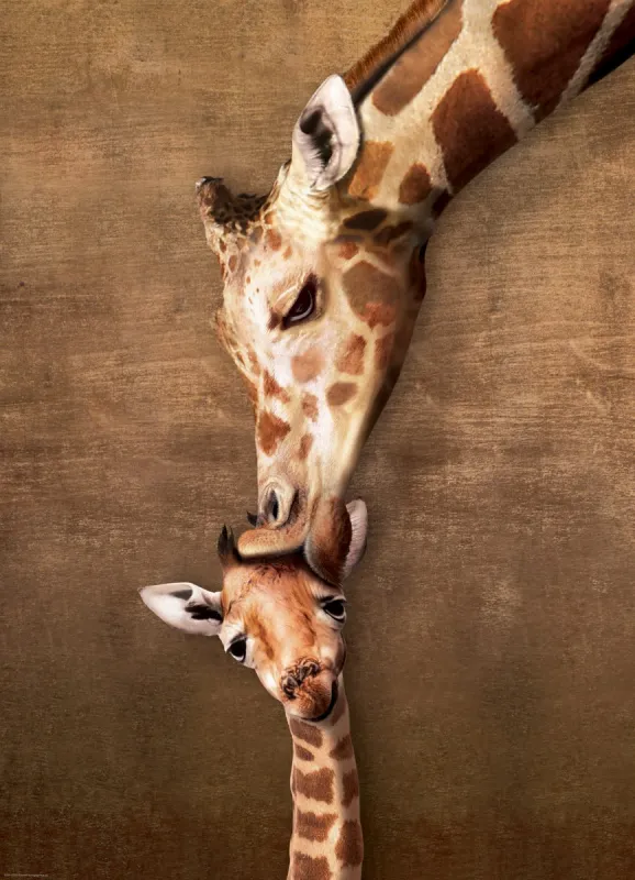Giraffe Mother's Kiss - 500pc Jigsaw Puzzle by Eurographics
