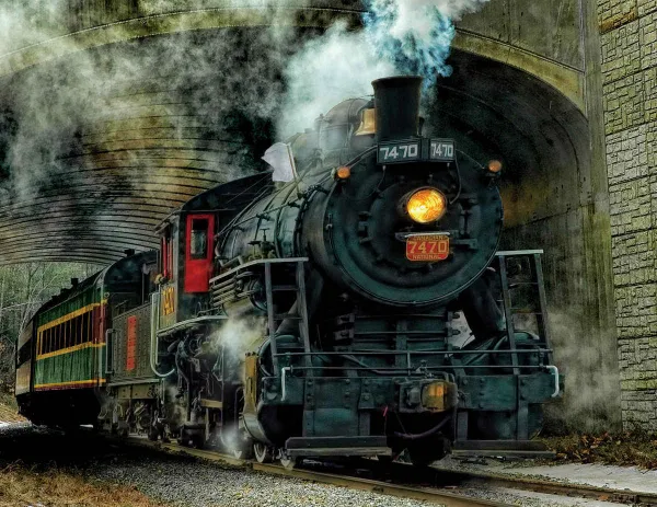Green Mountain Express - 100pc Jigsaw Puzzle By Springbok