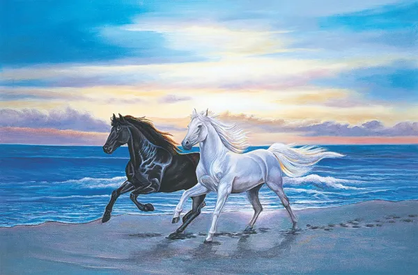 Along The Beach - 1500pc Jigsaw Puzzle by Tomax