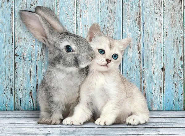 Cat & Bunny - 500pc Jigsaw Puzzle by Clementoni