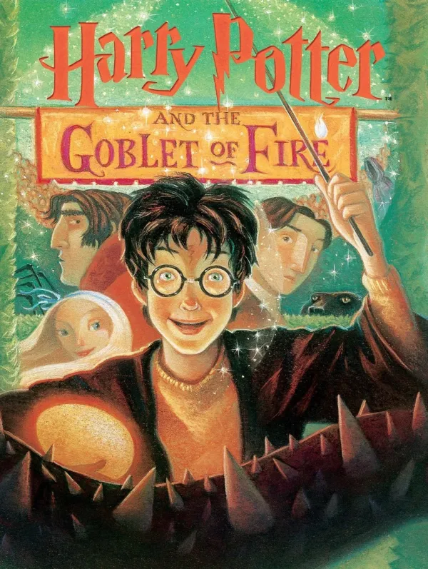 Goblet of Fire - 1000pc Jigsaw Puzzle by New York Puzzle Company