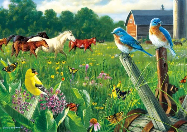Hautman Brothers: Country Meadow - 300pc Jigsaw Puzzle by Buffalo Games