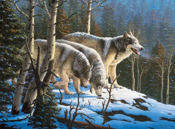Wolves: Wildlife - 1000pc Jigsaw Puzzle by Ceaco