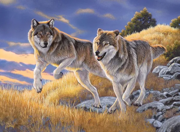 The Wolves - 500pc Jigsaw Puzzle by Clementoni